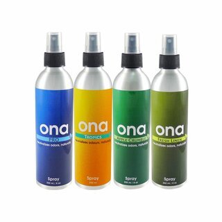 ONA Spray 250ml Fruit Fusion